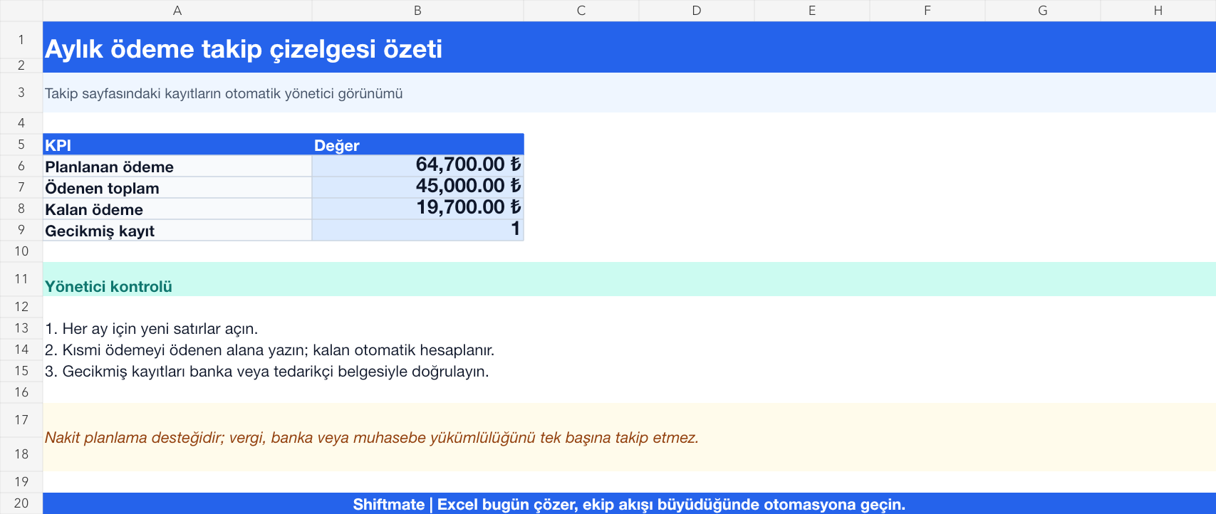 Aylık ödeme takibi Excel yönetici özeti gerçek ekran görüntüsü