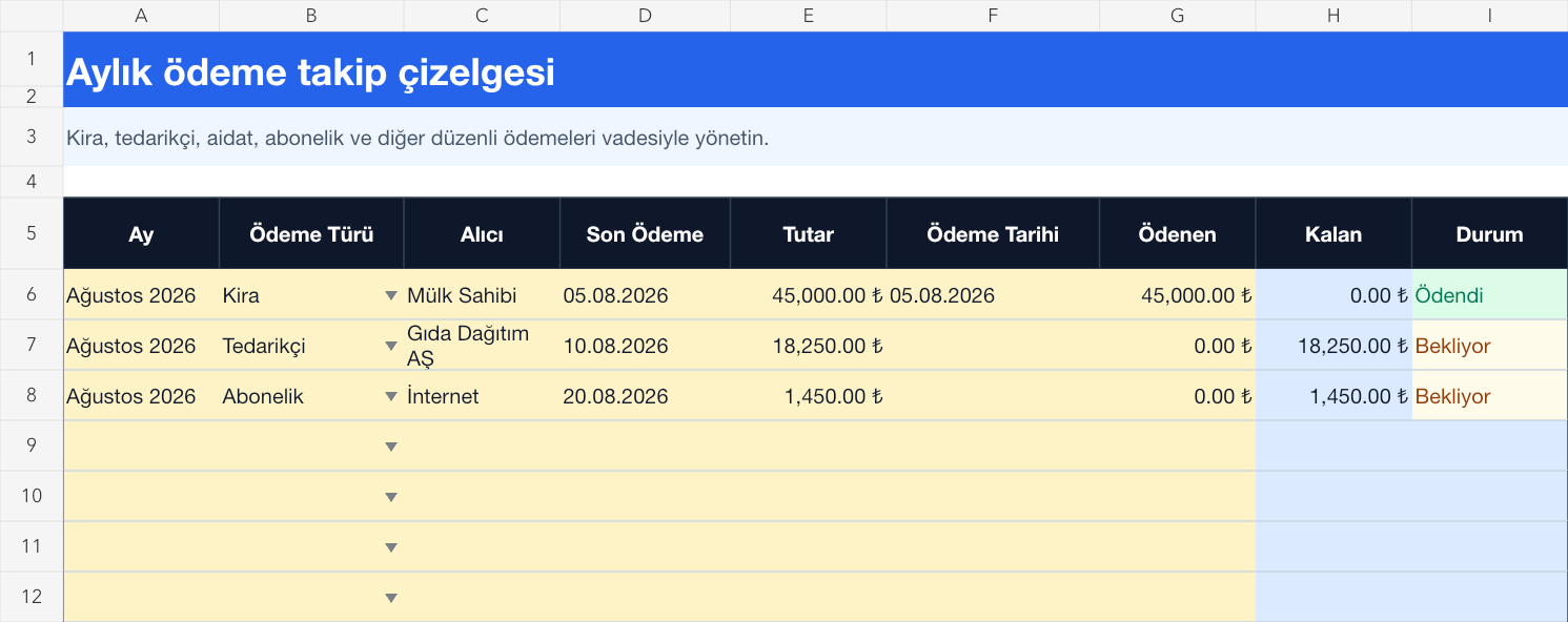 Aylık ödeme takibi Excel takip sayfası gerçek ekran görüntüsü