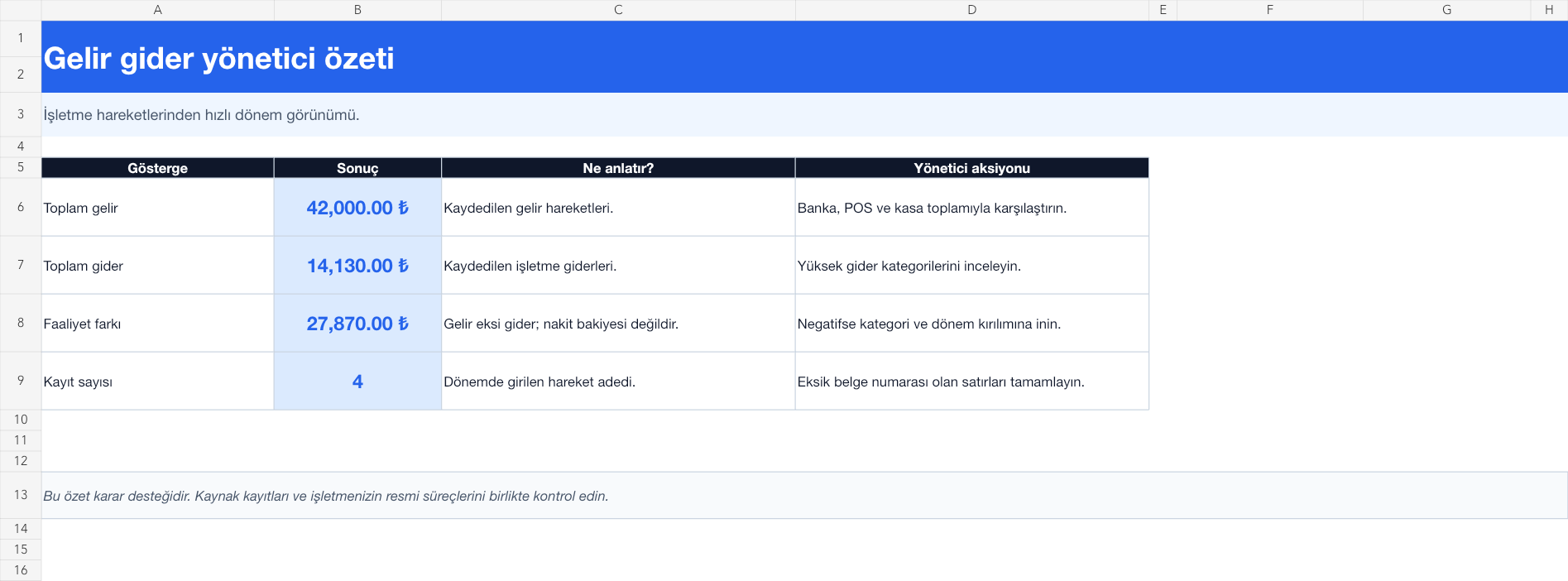 Gelir gider takibi Excel yönetici özeti gerçek ekran görüntüsü