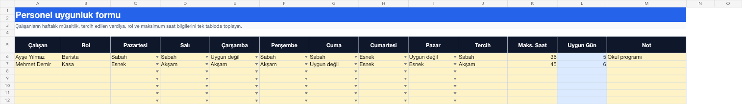 Personel uygunluk formu Excel takip sayfası gerçek ekran görüntüsü